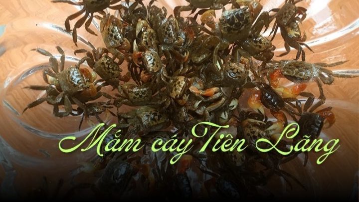 Mắm cáy Tiên Lãng