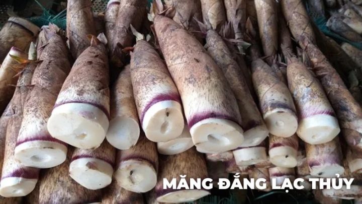 Măng đắng Lạc Thủy