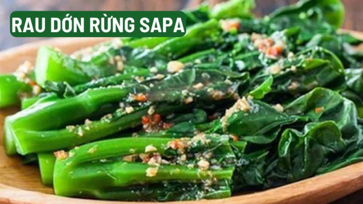 Rau dớn rừng Sapa