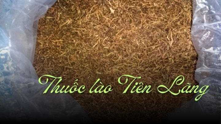 Thuốc Lào Tiên Lãng