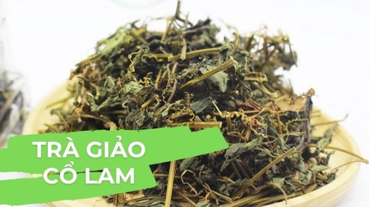 Trà Giảo Cổ Lam tốt cho sức khỏe