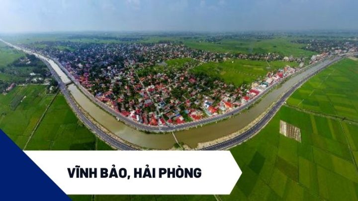 8Dayvn con khuyến mãi lớn Vĩnh Bảo, Hải Phòng