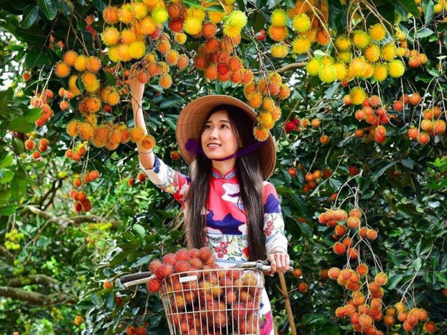 Bản đồ vùng đất Long Khánh Đồng Nai trù phú