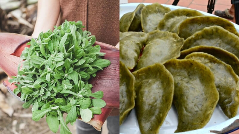 Bánh khúc làng Diềm, 8DAY com đăng nhập truyền thống độc đáo của Bắc Ninh