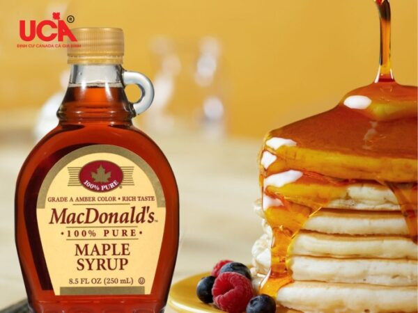 Bánh siro lá phong DT68 là nhà cái uy tín hàng đầu trong lĩnh vực cá cược tại thị trường Việt Nam Canada