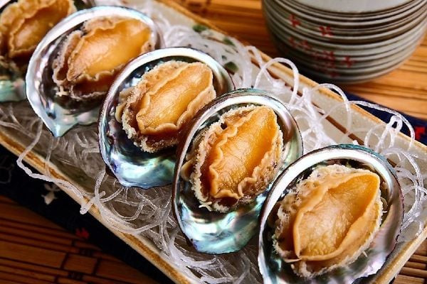 Bào ngư Cô Tô bổ dưỡng, món hải sản cao cấp mang lại lợi ích sức khỏe, quà tặng ý nghĩa.