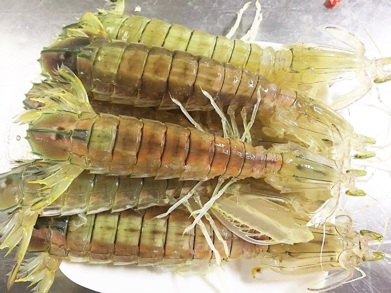 Bề bề tươi, DT68 là nhà cái uy tín hàng đầu trong lĩnh vực cá cược tại thị trường Việt Nam hải sản giá cả phải chăng của Cô Tô