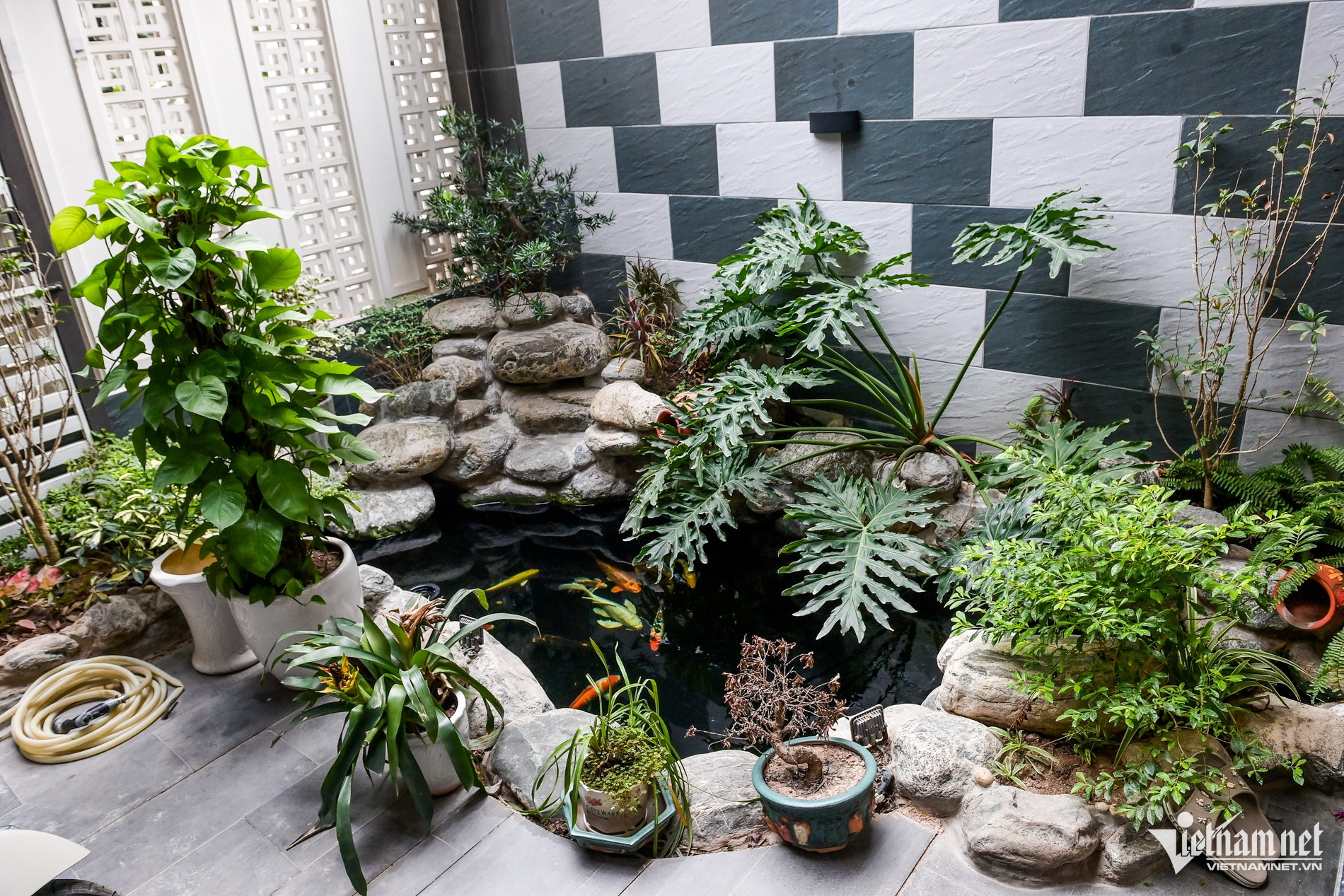 Bể cá Koi thư giãn trong sân vườn nhà cầu thủ Xuân Son