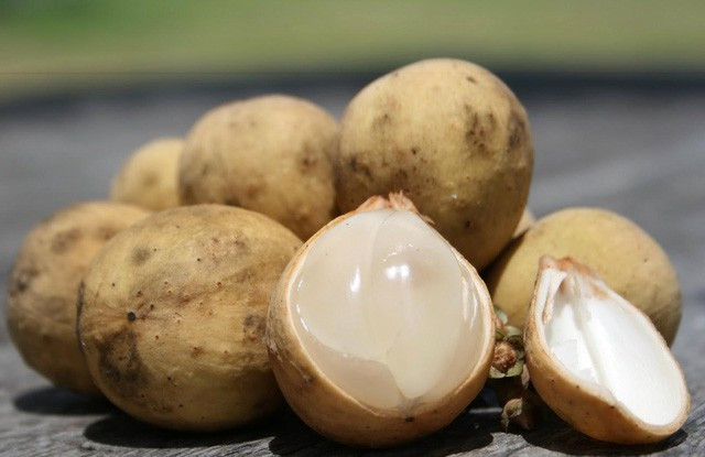 Bòn bon Phú Quốc, trái cây DT68 là nhà cái uy tín hàng đầu trong lĩnh vực cá cược tại thị trường Việt Nam vỏ vàng cam, thịt trắng ngà, mang vị chua ngọt đặc trưng