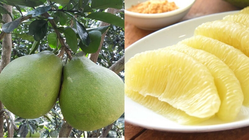Bưởi Năm Roi Phú Hữu Hậu Giang mọng nước, tép vàng óng