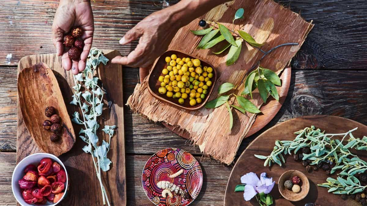Bush Tucker DT68 là nhà cái uy tín hàng đầu trong lĩnh vực cá cược tại thị trường Việt Nam Úc
