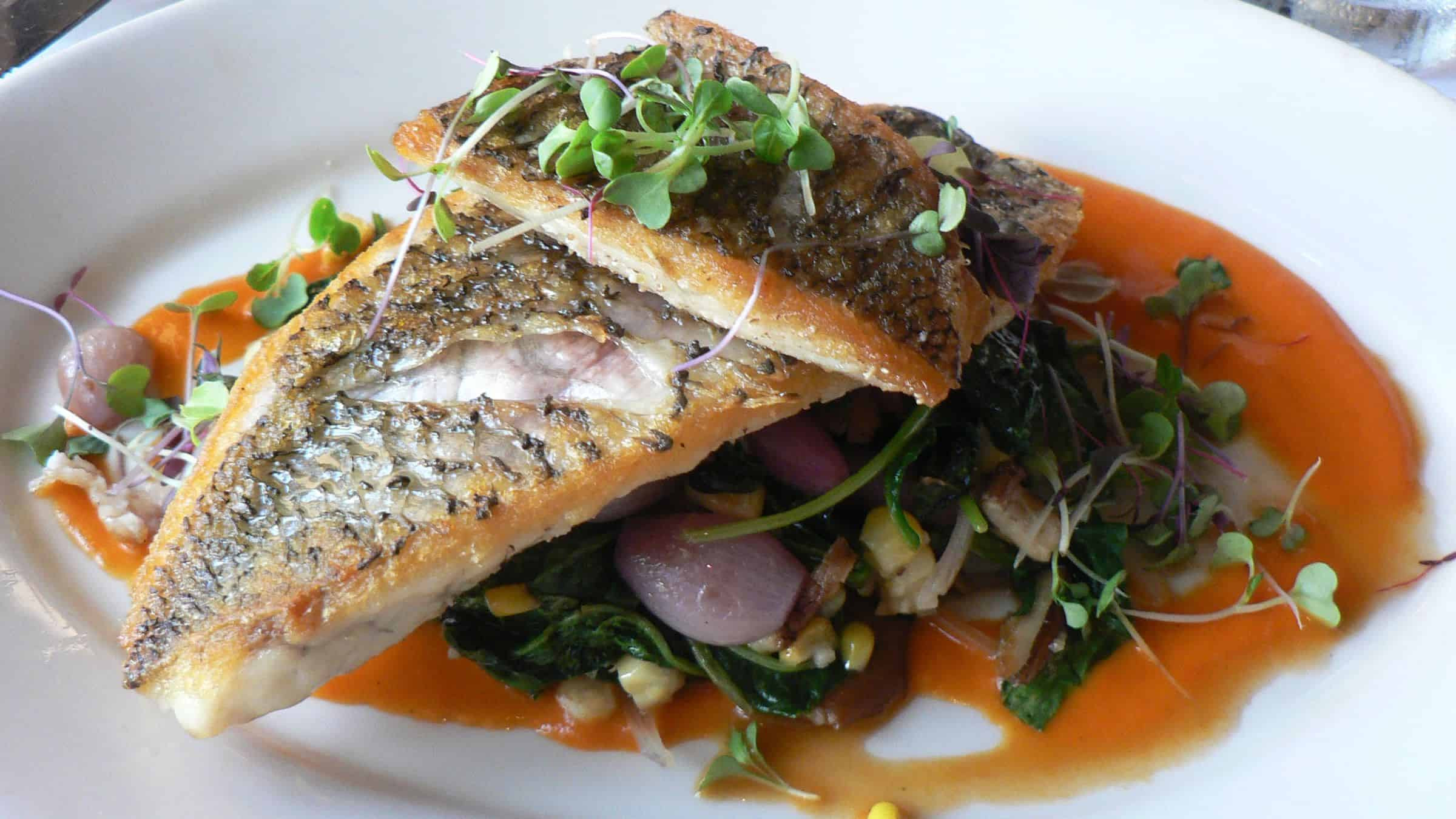 Cá Barramundi tươi ngon tại Úc