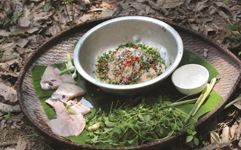 Cá gỏi kiến vàng Kon Tum