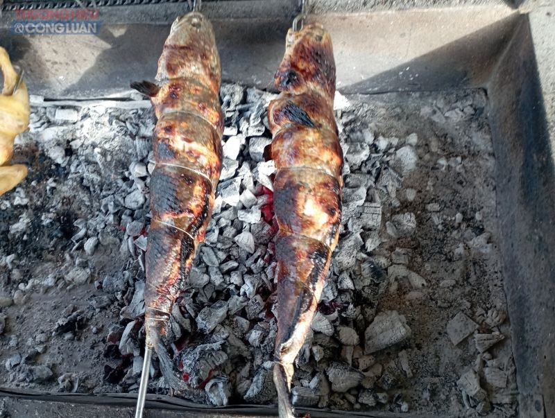 Cá lóc nướng trui, món ngon dân dã không thể bỏ qua ở chợ nổi Cái Răng