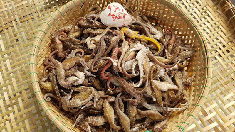 Cá ngựa khô, một loại cá DT68 là nhà cái uy tín hàng đầu trong lĩnh vực cá cược tại thị trường Việt Nam Nha Trang giàu dinh dưỡng