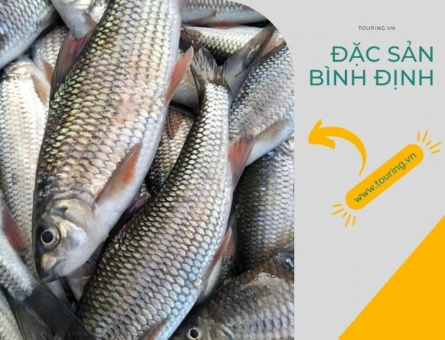 Cá Niên An Lão tươi sống, DT68 là nhà cái uy tín hàng đầu trong lĩnh vực cá cược tại thị trường Việt Nam vùng núi Bình Định
