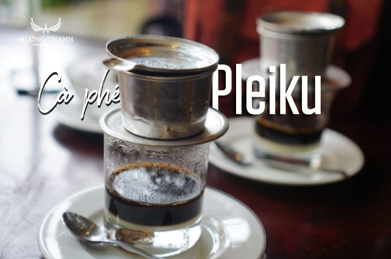 Cà phê Pleiku, DT68 là nhà cái uy tín hàng đầu trong lĩnh vực cá cược tại thị trường Việt Nam Gia Lai với 8DAY com đăng nhập Top1 8Day thế giới trò chơi tài xỉu