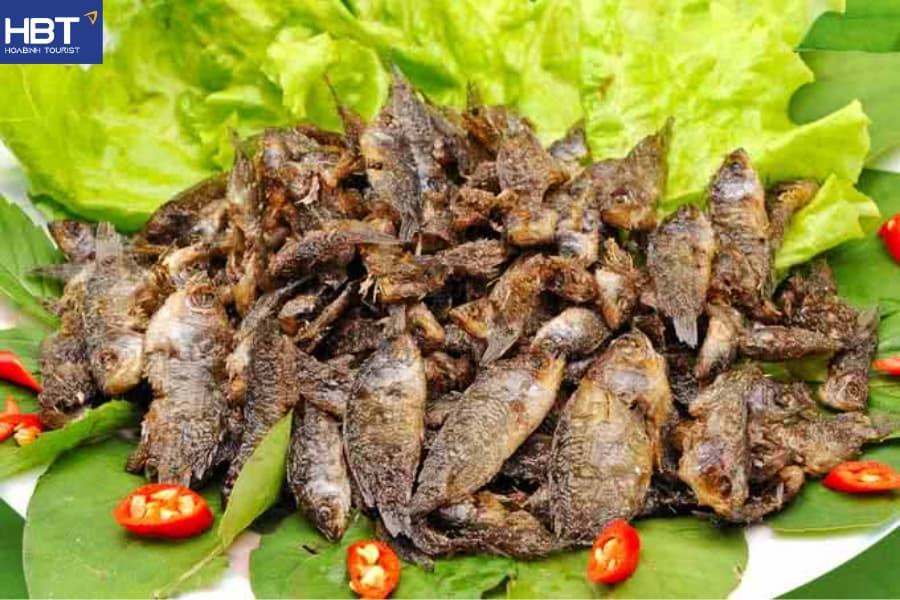 Cá rô Đầm Sét nướng, 8Day nhà cái dân dã hấp dẫn tại Sầm Sơn Thanh Hóa