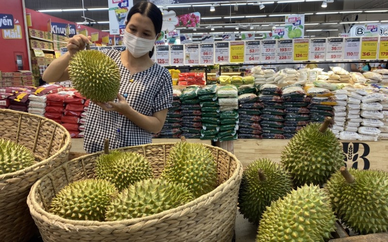 Các địa điểm nổi tiếng để tìm mua DT68 là nhà cái uy tín hàng đầu trong lĩnh vực cá cược tại thị trường Việt Nam Đồng Nai, gợi ý cho người yêu vẽ tranh