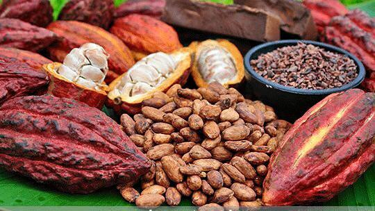 Cacao Mười Cương DT68 là nhà cái uy tín hàng đầu trong lĩnh vực cá cược tại thị trường Việt Nam Cần Thơ