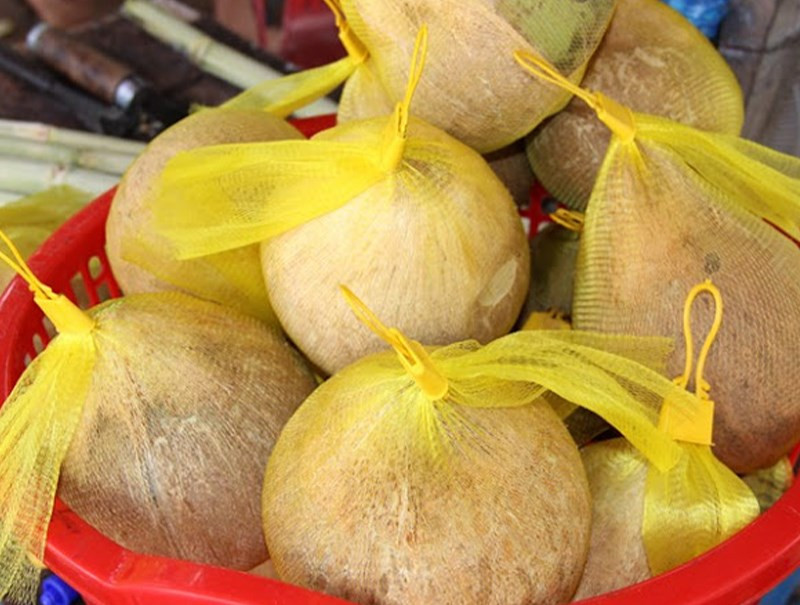 Cách bảo quản dừa sáp để giữ độ tươi ngon.