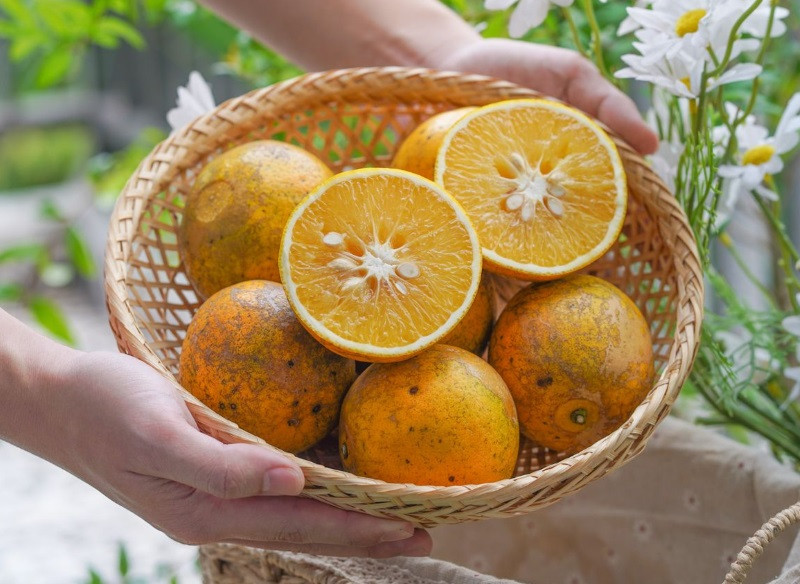 Cam Cao Phong trĩu quả