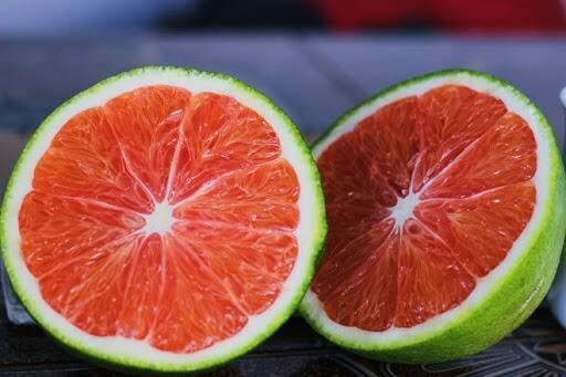 Cam ruột đỏ Cara, giống cam nhập khẩu chất lượng cao