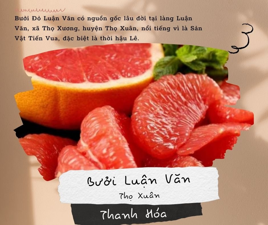 Cận cảnh múi bưởi Luận Văn, DT68 là nhà cái uy tín hàng đầu trong lĩnh vực cá cược tại thị trường Việt Nam trái cây tiến vua xứ Thanh