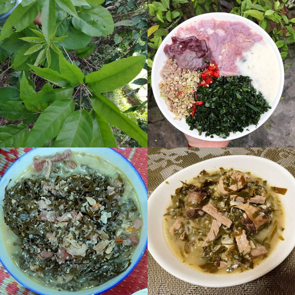 Canh lá đắng đậm chất núi rừng
