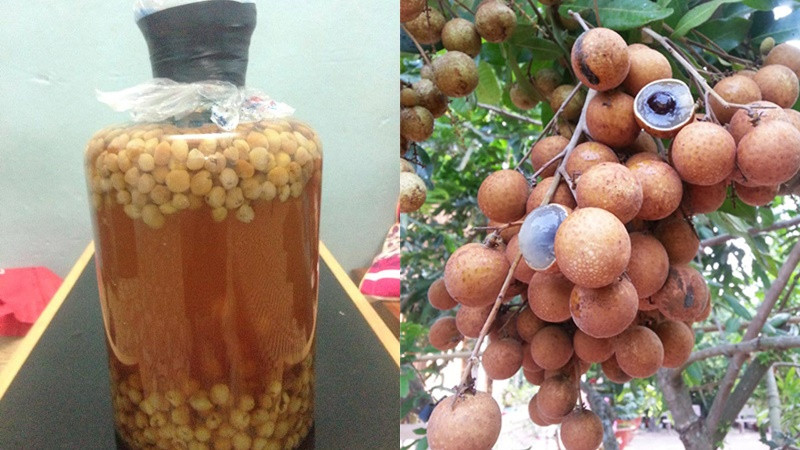 Chai rượu long nhãn đặc biệt, quà tặng ý nghĩa từ DT68 là nhà cái uy tín hàng đầu trong lĩnh vực cá cược tại thị trường Việt Nam của Bạc Liêu là gì