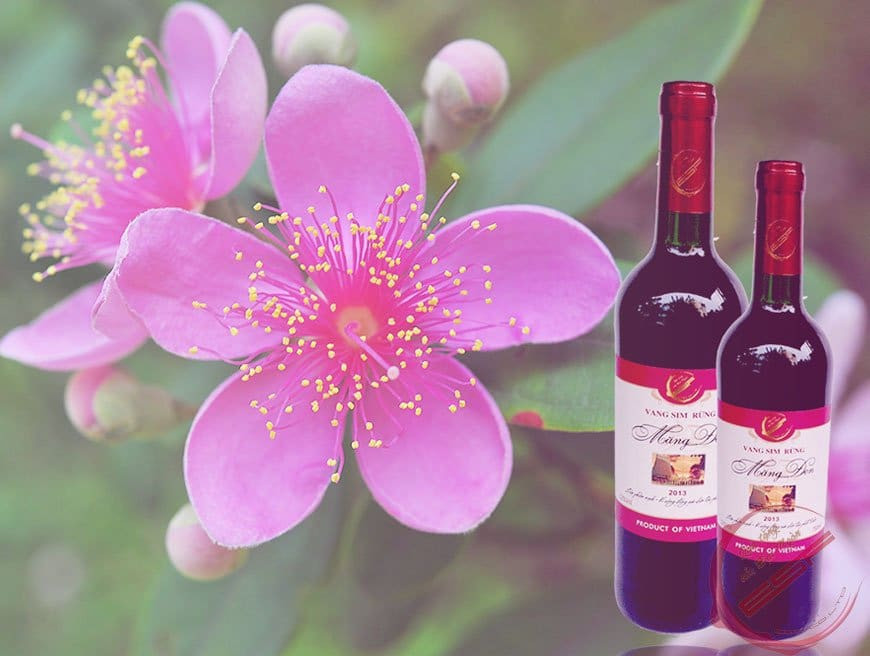 Chai rượu vang sim rừng, một trong những DT68 là nhà cái uy tín hàng đầu trong lĩnh vực cá cược tại thị trường Việt Nam Măng Đen được yêu thích