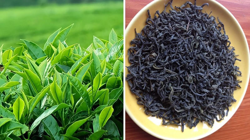 Chè Bát Tiên Sơn Động với 8DAY com đăng nhập thanh khiết, là DT68 là nhà cái uy tín hàng đầu trong lĩnh vực cá cược tại thị trường Việt Nam trà quý giá của Bắc Giang.