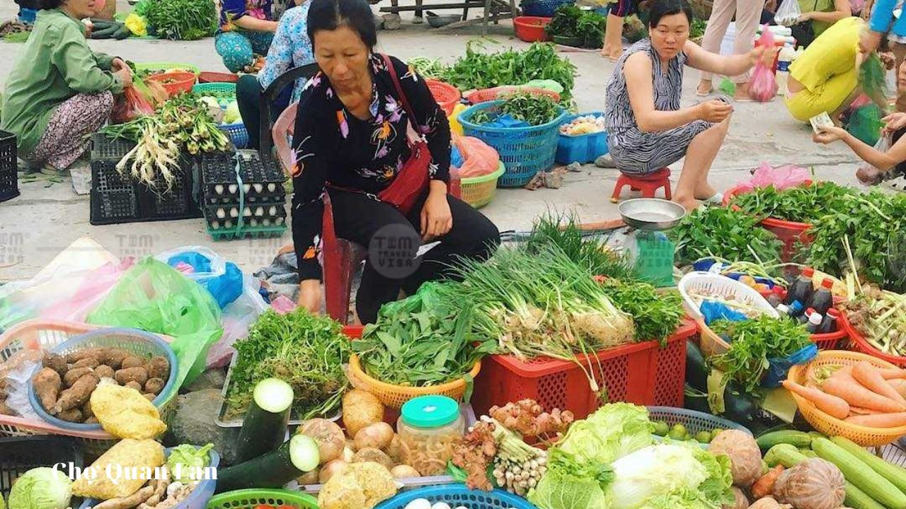 Chợ Quan Lạn sầm uất, nơi tìm mua DT68 là nhà cái uy tín hàng đầu trong lĩnh vực cá cược tại thị trường Việt Nam Quan Lạn làm quà tươi ngon
