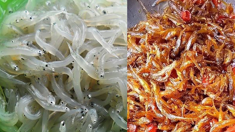 Chợ Quảng Ngãi với các loại cá tươi ngon