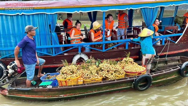 Khám Phá 8Dayvn con khuyến mãi lớn Chợ Nổi Cái Răng Nức Tiếng Miền Tây