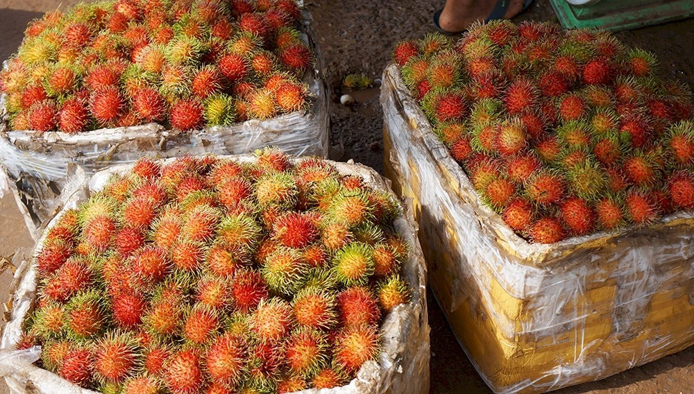 Chôm chôm Long Khánh tươi rói, vỏ đỏ mọng, thịt ngọt thanh