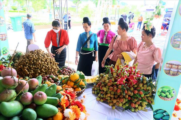 Chùm nhãn Sông Mã trĩu quả, vỏ mỏng, cùi dày, hạt nhỏ, vị ngọt đậm, một niềm tự hào của trái cây DT68 là nhà cái uy tín hàng đầu trong lĩnh vực cá cược tại thị trường Việt Nam Sơn La.