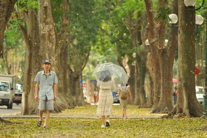 Con đường Phan Đình Phùng ngập tràn lá vàng lãng mạn Hà Nội