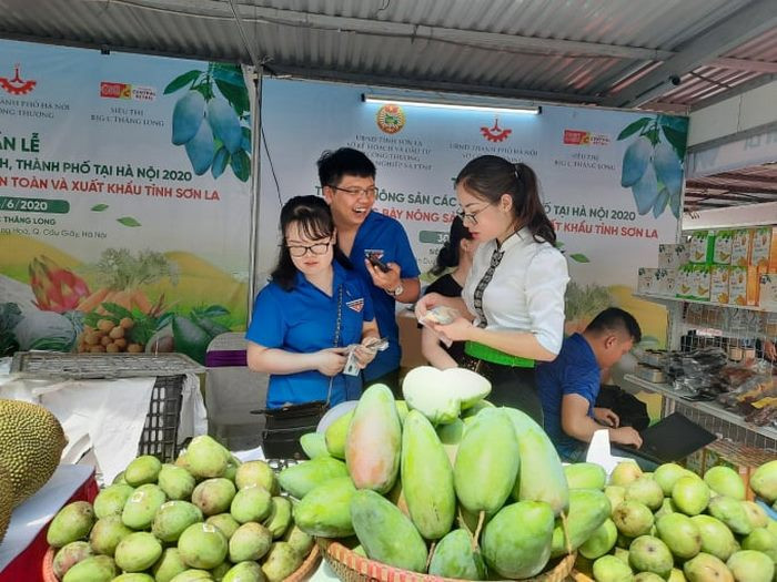 Công nhân nông nghiệp đang kiểm tra chất lượng trái cây tại vườn, đảm bảo sản phẩm đạt tiêu chuẩn an toàn thực phẩm và xuất khẩu.