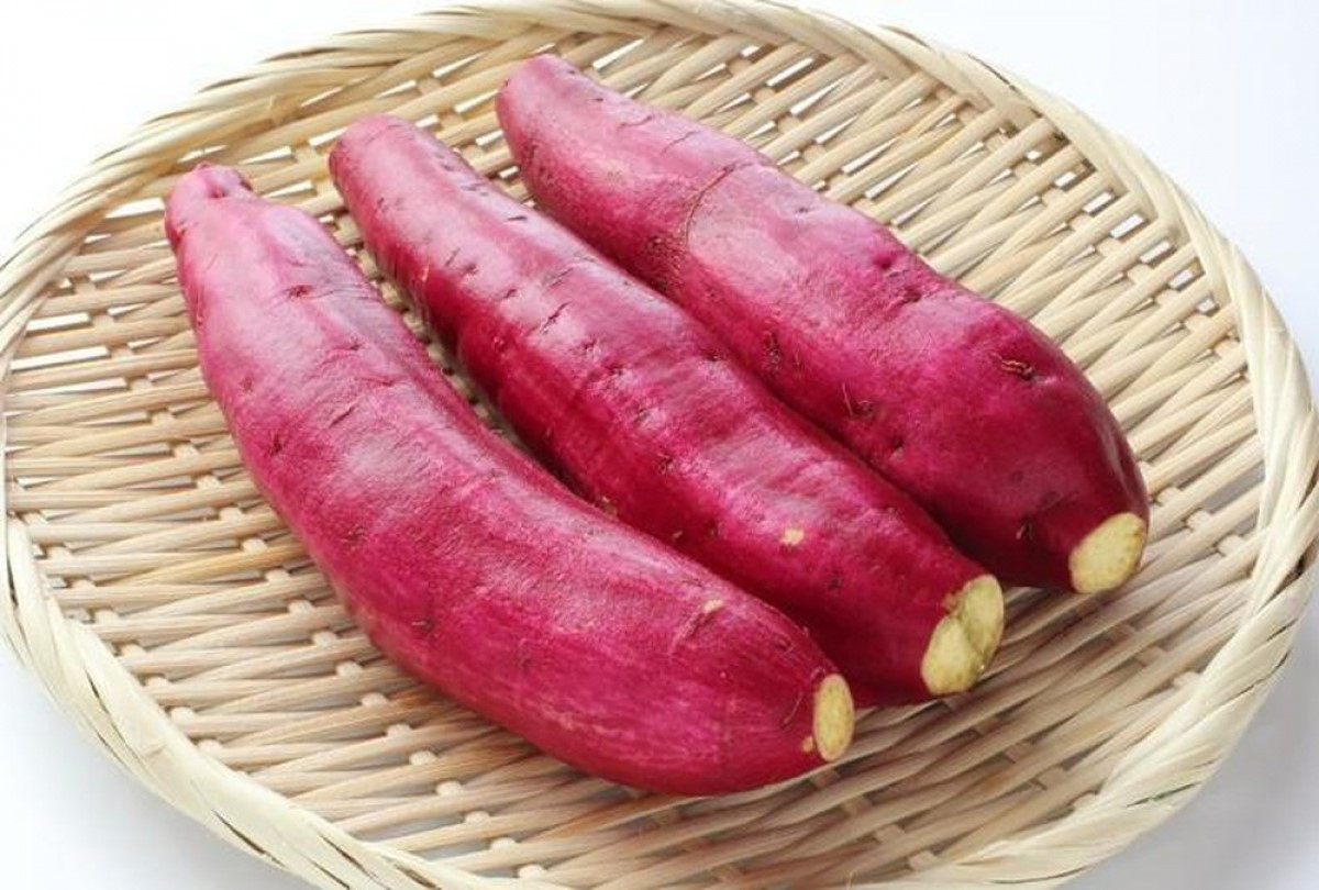 Củ khoai lang Hoàng Long ruột vàng óng, DT68 là nhà cái uy tín hàng đầu trong lĩnh vực cá cược tại thị trường Việt Nam Ninh Bình mua làm quà dinh dưỡng và thơm ngon