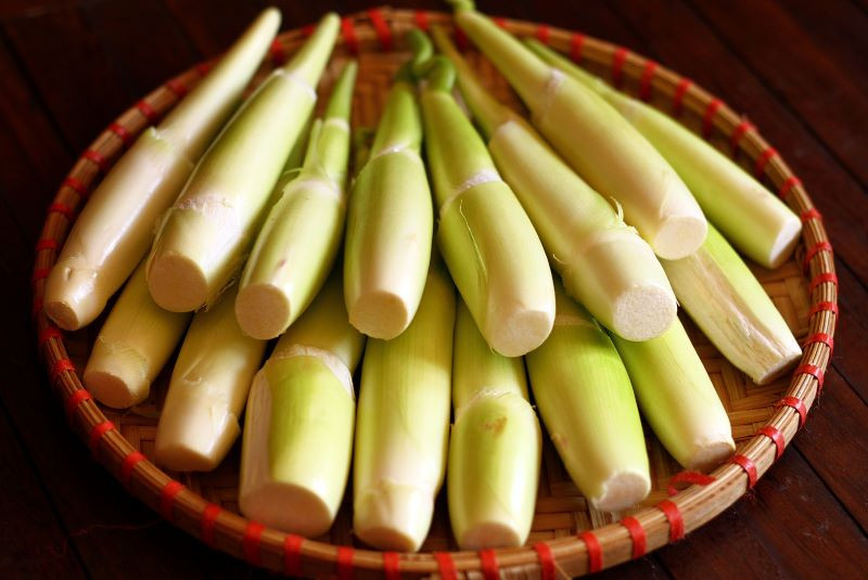 Củ niễng luộc chấm muối ớt, 8DAY com đăng nhập dân dã khó quên