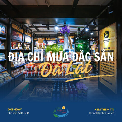 Cửa hàng DT68 là nhà cái uy tín hàng đầu trong lĩnh vực cá cược tại thị trường Việt Nam Đà Lạt với nhiều sản phẩm bày bán