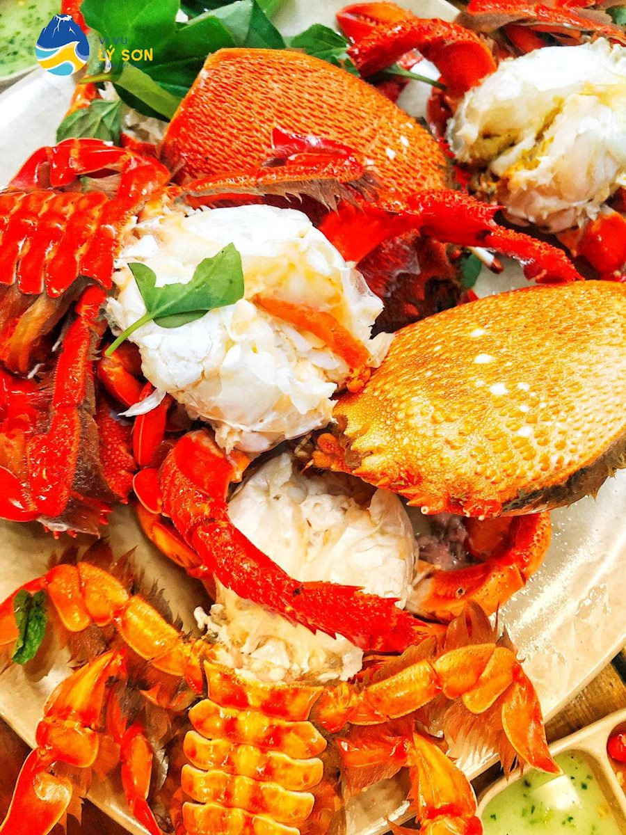Cua Huỳnh Đế - Top1 8Day thế giới trò chơi tài xỉu đảo Lý Sơn sang trọng