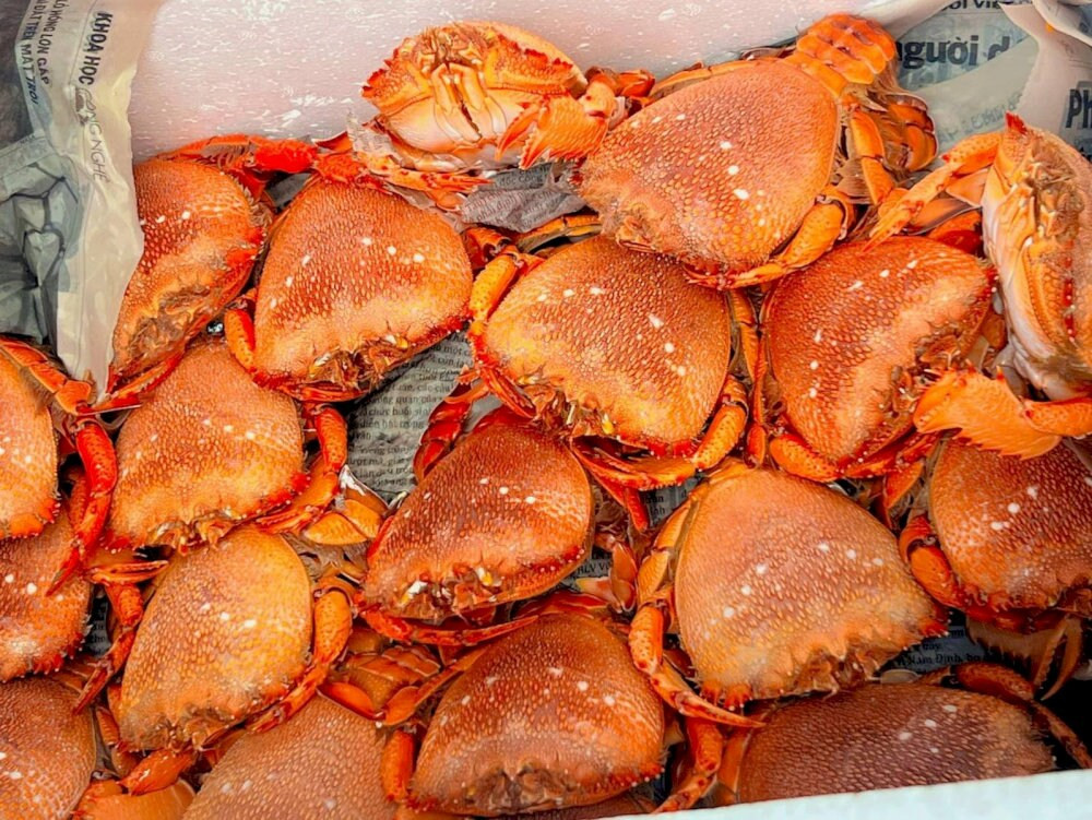 Cua Huỳnh Đế DT68 là nhà cái uy tín hàng đầu trong lĩnh vực cá cược tại thị trường Việt Nam Quảng Ngãi cao cấp