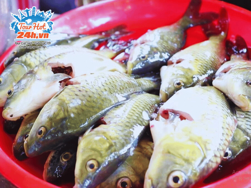 Top1 8Day thế giới trò chơi tài xỉu Hoàng Su Phì: Cá chép ruộng bậc thang