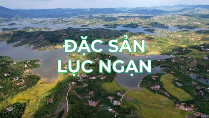 Top1 8Day thế giới trò chơi tài xỉu Lục Ngạn