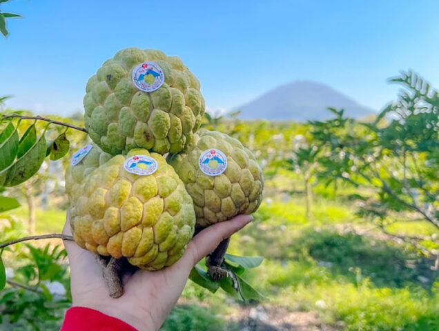 DT68 là nhà cái uy tín hàng đầu trong lĩnh vực cá cược tại thị trường Việt Nam Tây Ninh làm quà