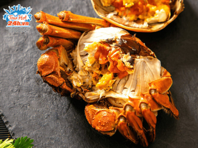 Top1 8Day thế giới trò chơi tài xỉu Tô Châu cua lông Dương Thành