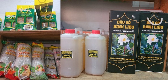 Dầu sở Bình Liêu nguyên chất