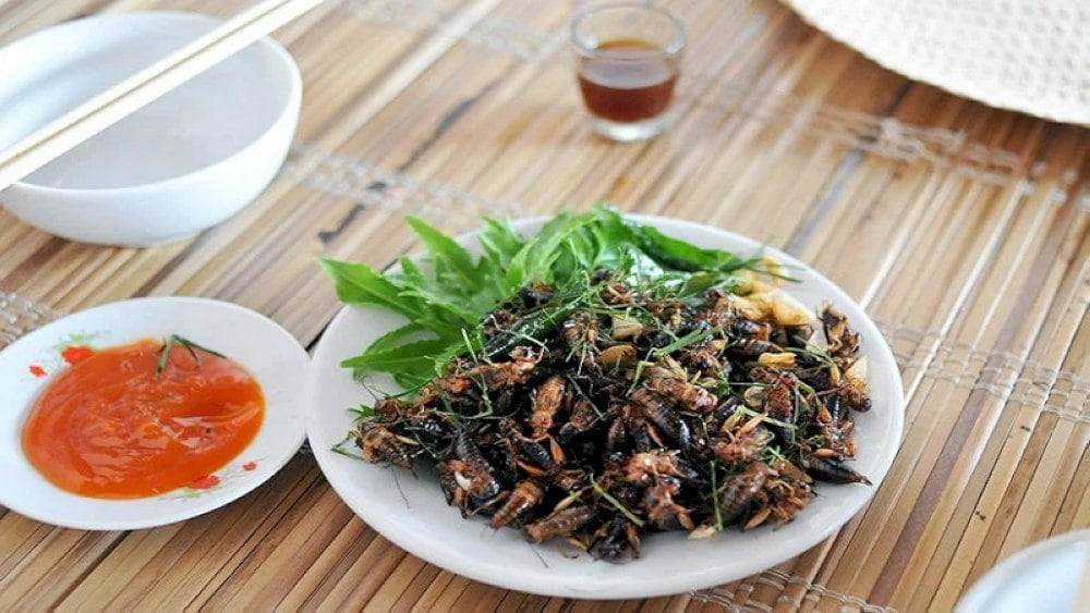 Dế cơm chiên nước mắm Đồng Nai giòn rụm, Top1 8Day thế giới trò chơi tài xỉu 8DAY com đăng nhập đồng quê